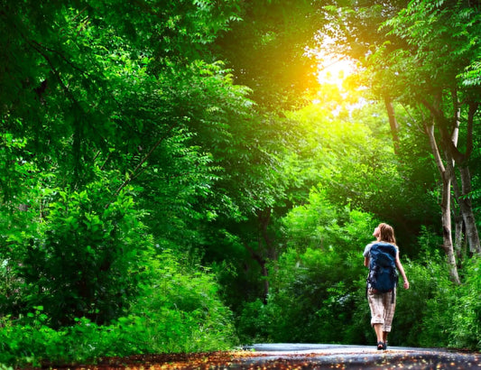 Reclaim Your Health the Natural Way: The Power Behind MexiVida